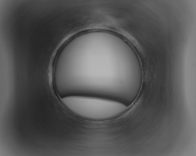 X0000101191224200806270840