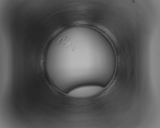 X0000101191225200806270840