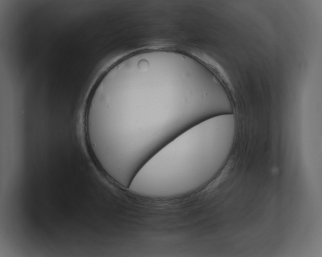 X0000101191231200806270840
