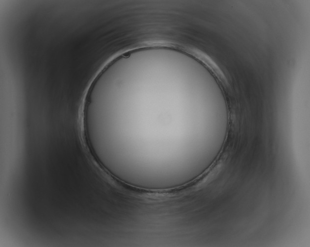 X0000101191236200806270840