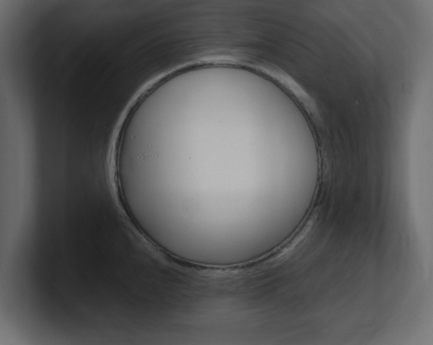 X0000101191240200806270841