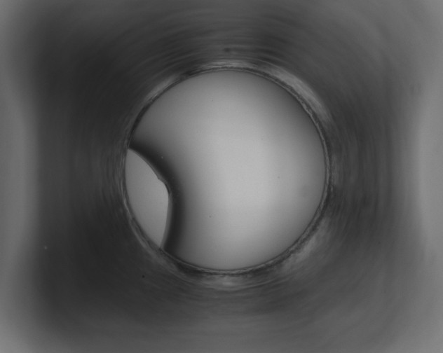 X0000101191241200806270841