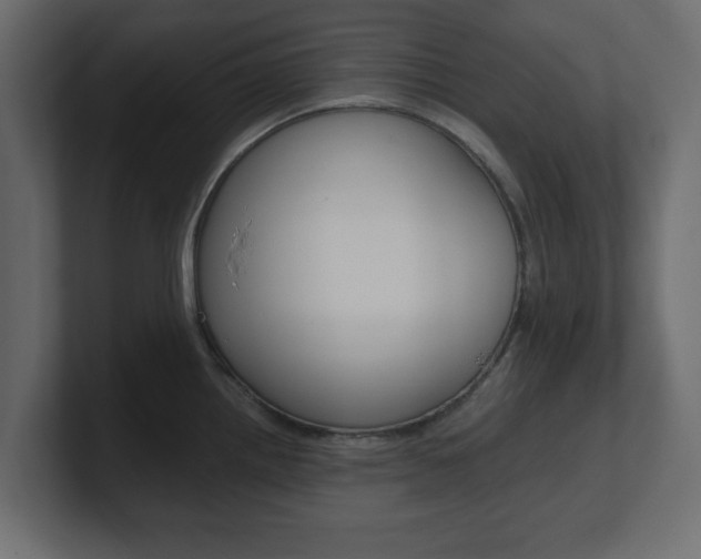 X0000101191242200806270841