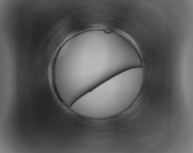 X0000101191243200806270841