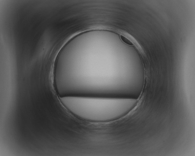 X0000101191244200806270841