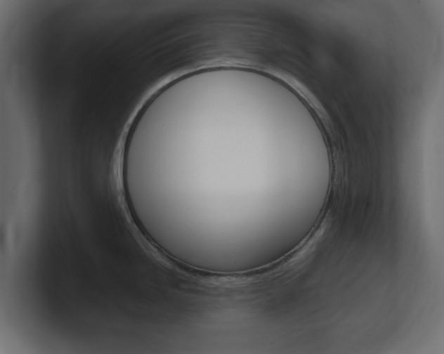 X0000101191246200806270841
