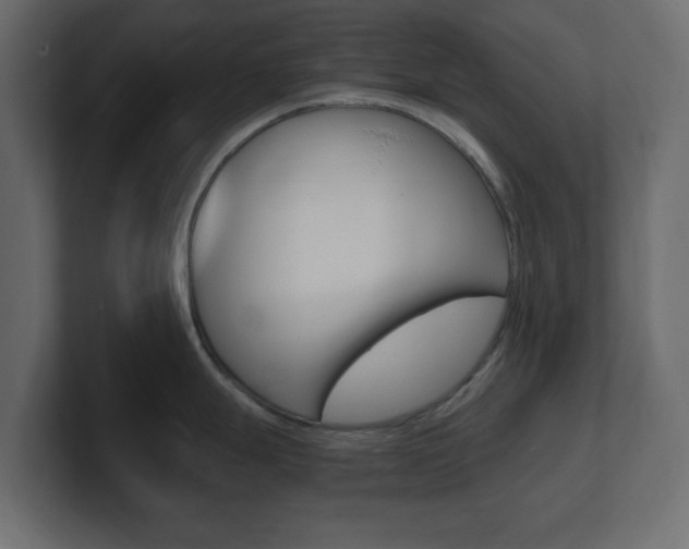 X0000101191247200806270841