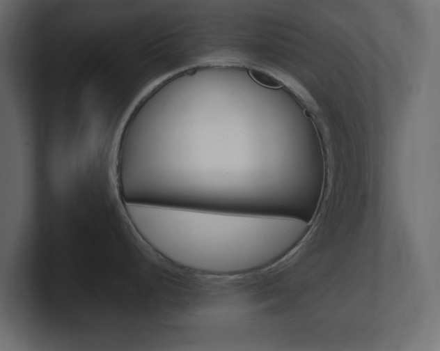 X0000101191248200806270841