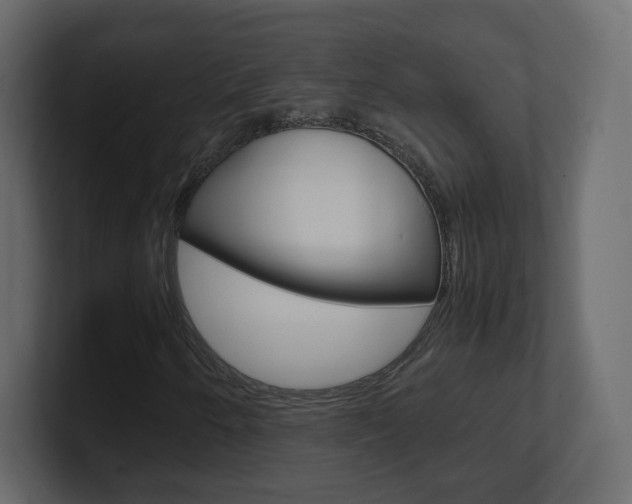 X0000101191250200806270840