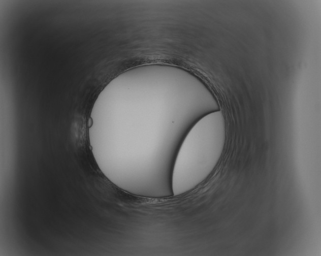 X0000101191251200806270840