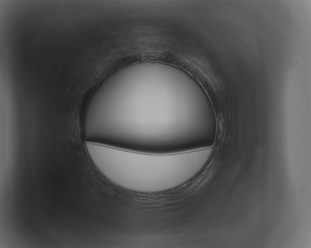 X0000101191252200806270840