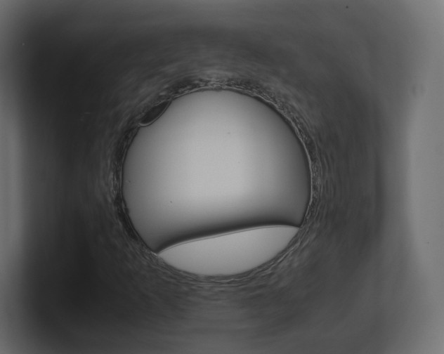 X0000101191253200806270840