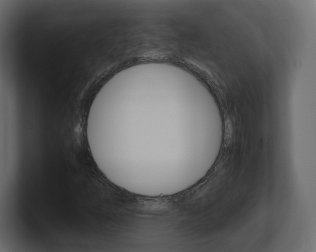 X0000101191254200806270840