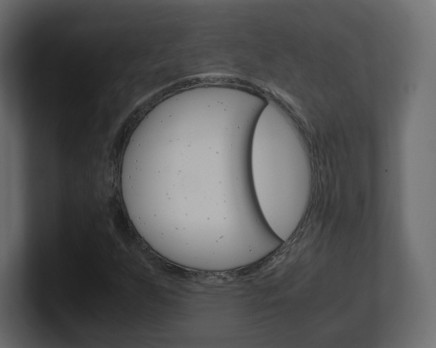 X0000101191255200806270840