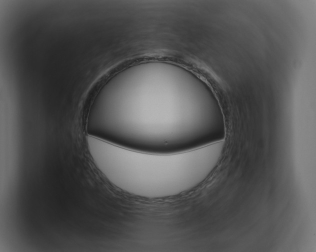 X0000101191256200806270840