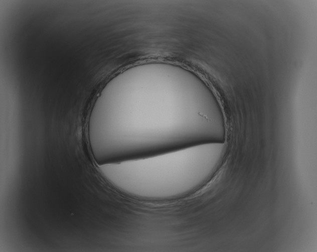 X0000101191257200806270840