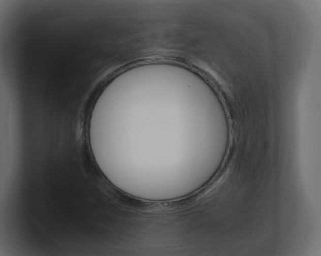 X0000101191259200806270840
