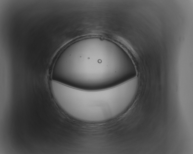 X0000101191260200806270840