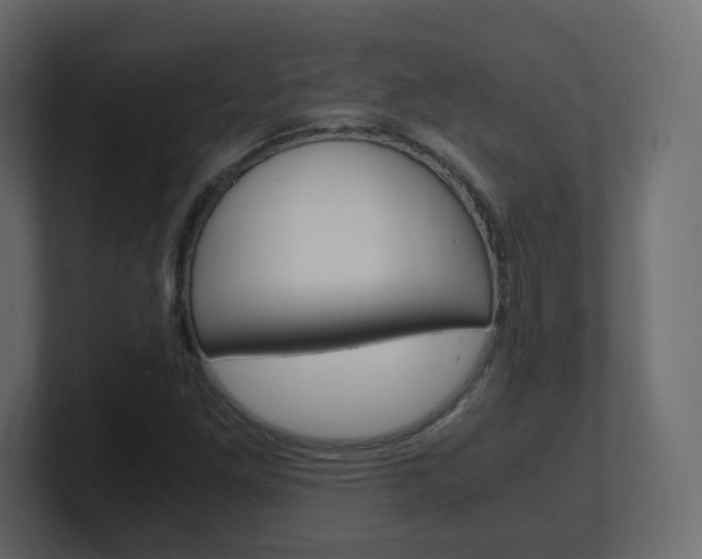 X0000101191261200806270840