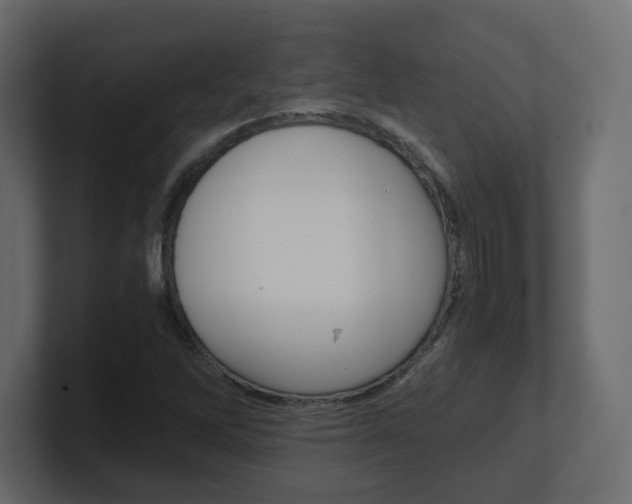X0000101191262200806270840