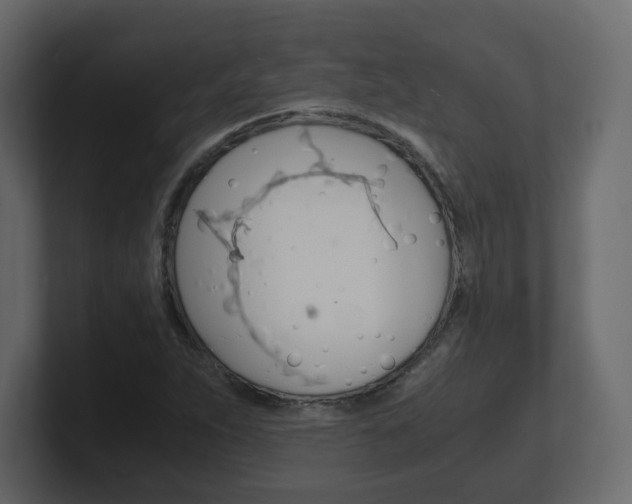 X0000101191263200806270840