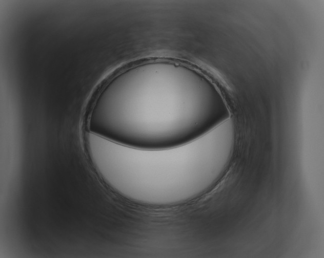 X0000101191264200806270840