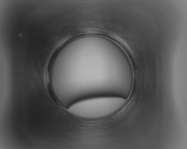 X0000101191269200806270840
