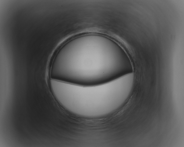 X0000101191272200806270840