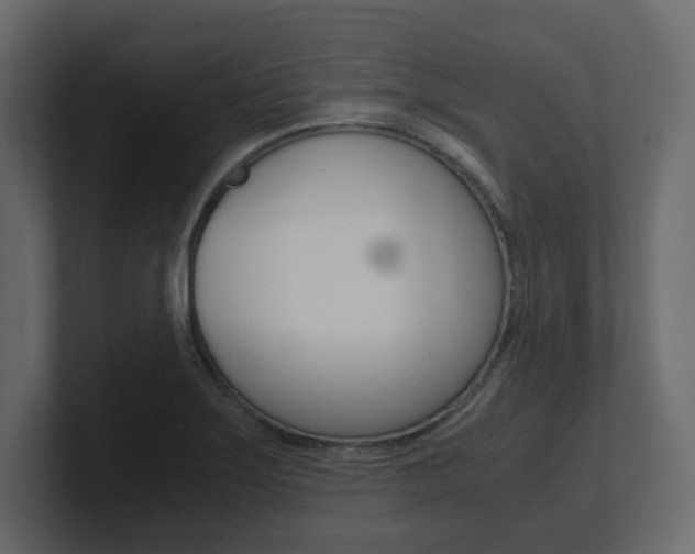 X0000101191275200806270840