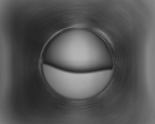 X0000101191276200806270840