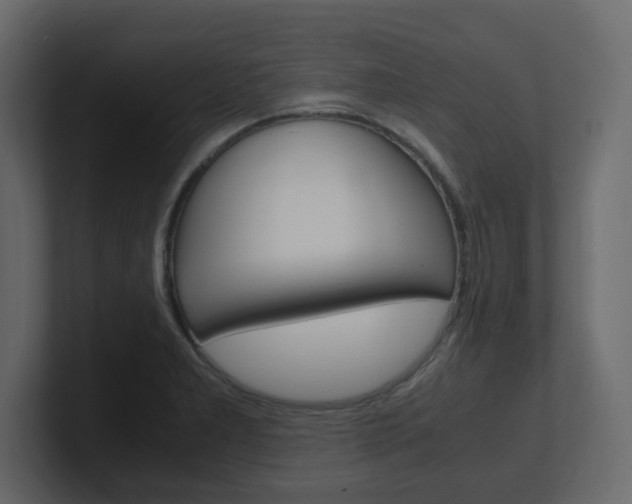 X0000101191277200806270840