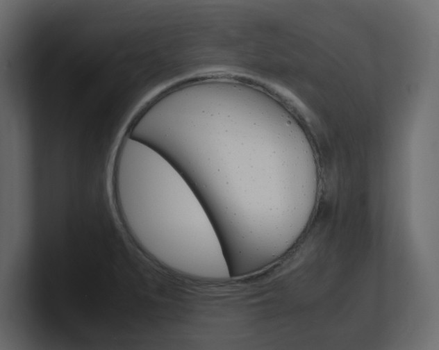 X0000101191279200806270840
