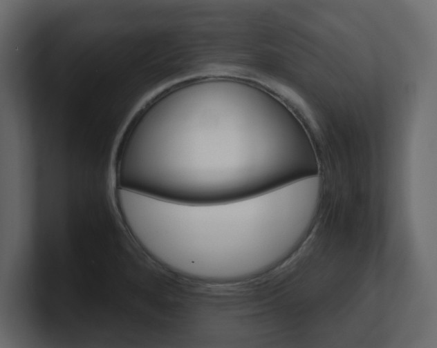 X0000101191280200806270840
