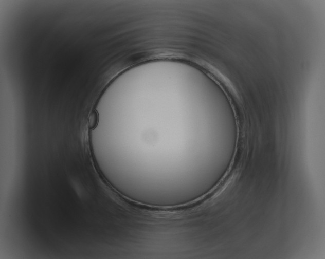 X0000101191281200806270840
