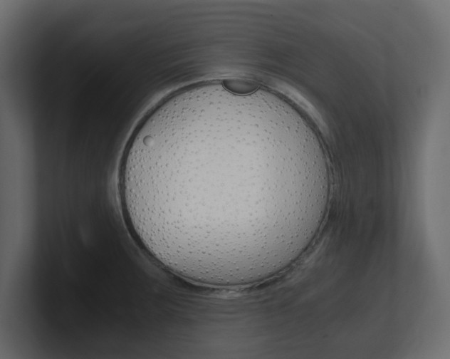 X0000101191283200806270840