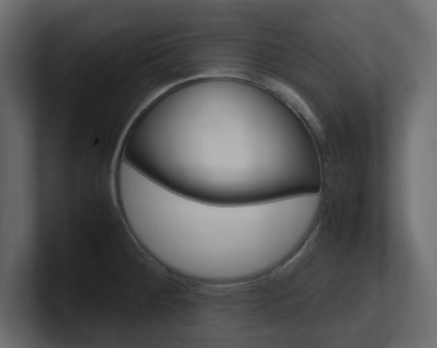 X0000101191284200806270840