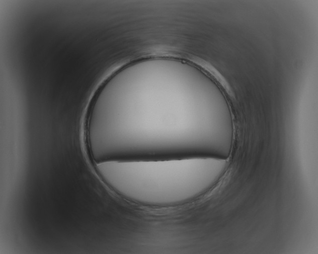 X0000101191285200806270840