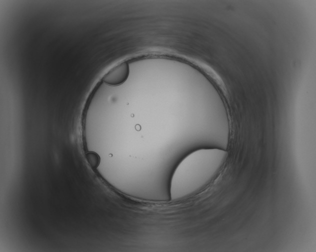 X0000101191287200806270839