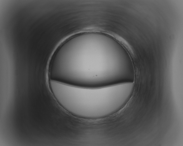 X0000101191288200806270839