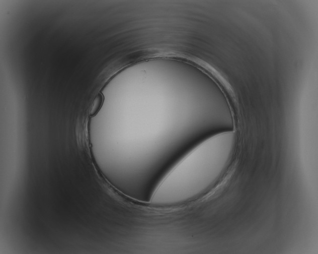 X0000101191289200806270839
