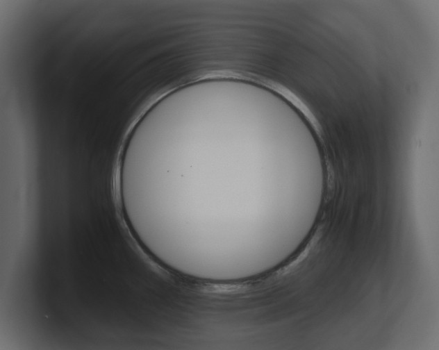 X0000101191290200806270839