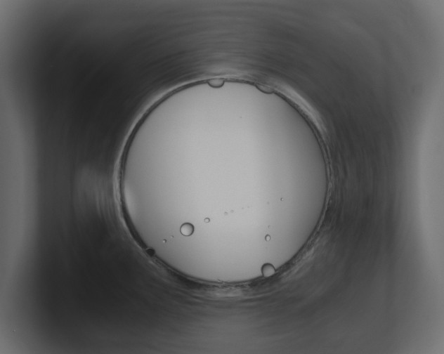 X0000101191291200806270839