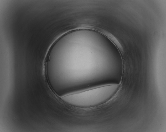 X0000101191292200806270839