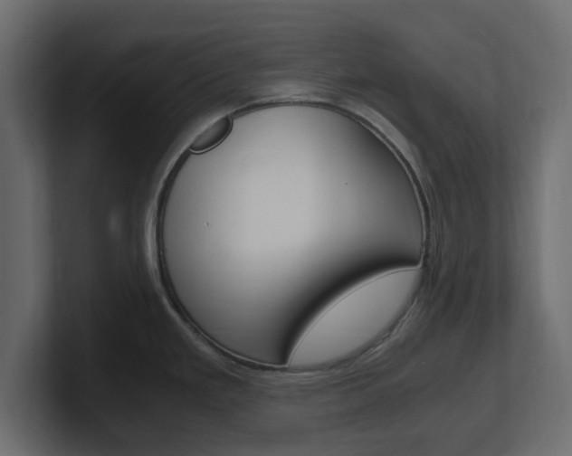 X0000101191293200806270839