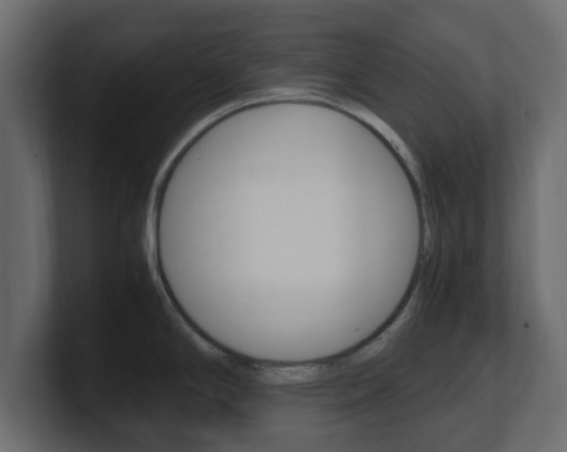 X0000101191294200806270839