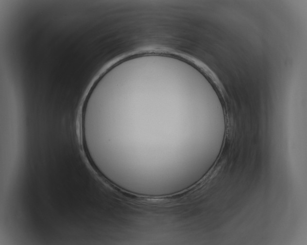 X0000101191295200806270839