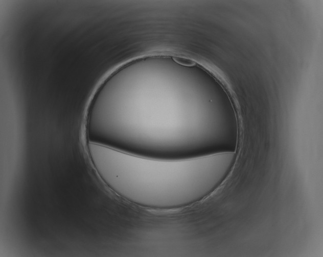 X0000101191296200806270839