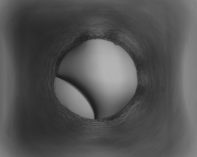 X0000101191297200806270839