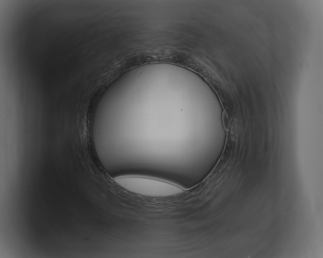 X0000101191298200806270839