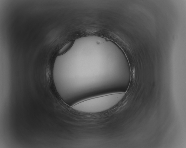 X0000101191299200806270839